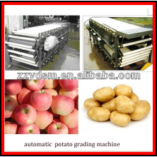 batata automática cheia / apple / kiwis / laranjas máquina de classificação